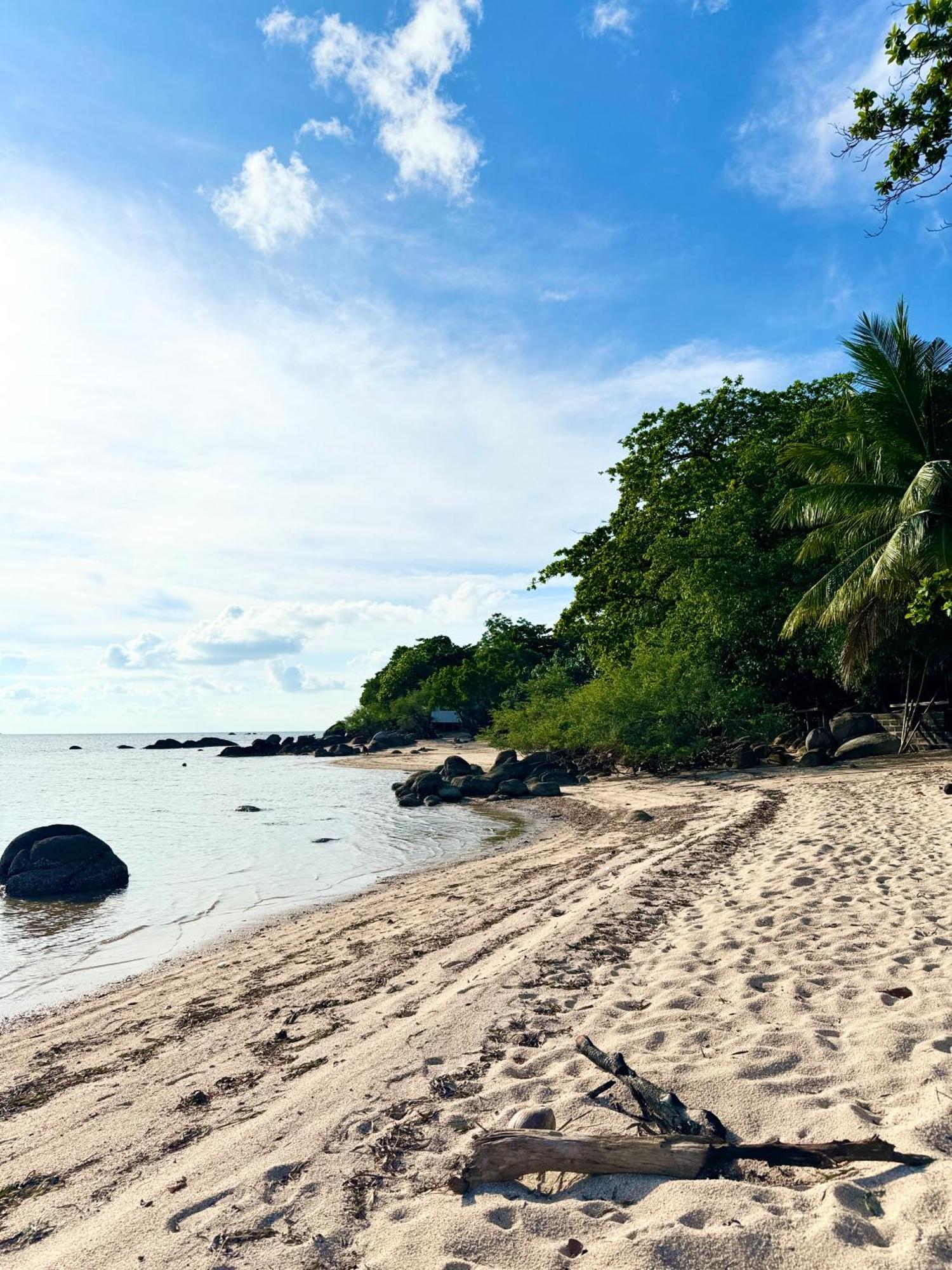 The Green Palm パンガン島 エクステリア 写真